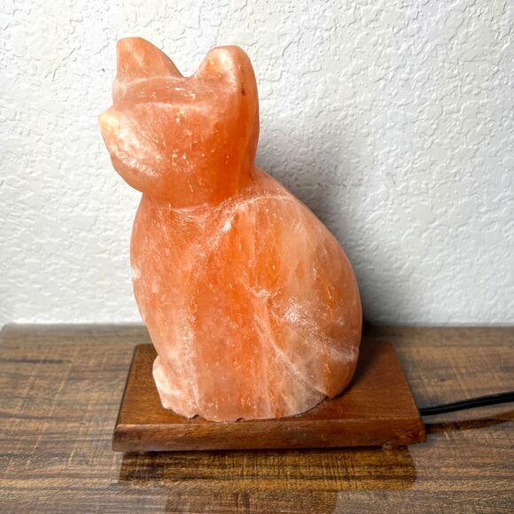 Vintage Pink Himalayan Salt Lamp Cat Shaped Carved Orange Rock Crystal Wood Base - Picture 9 of 13